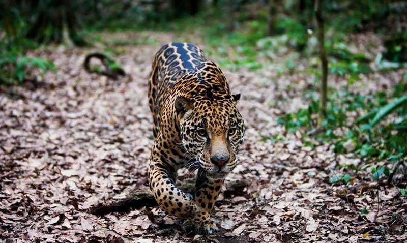 دیدنیهای امروز یکشنبه ۲۷ خردادماه