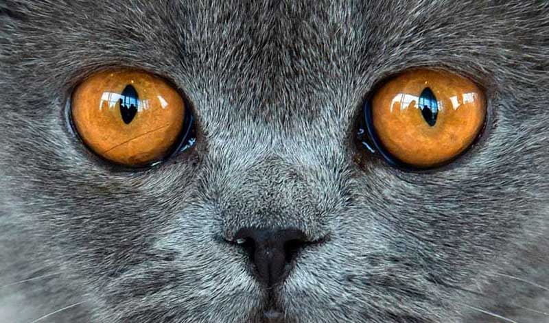 دیدنیهای امروز سه شنبه ۲۹ خردادماه