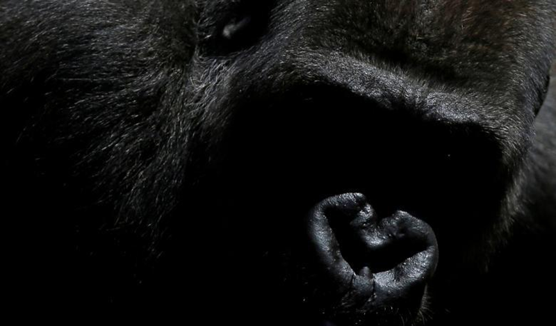 دیدنیهای امروز پنجشنبه ۲۴ خردادماه