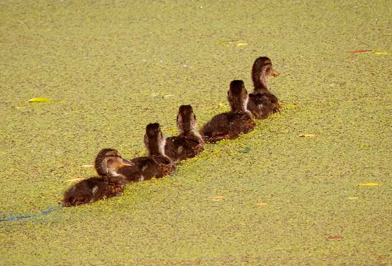 دیدنیهای امروز یکشنبه ۲۷ خردادماه