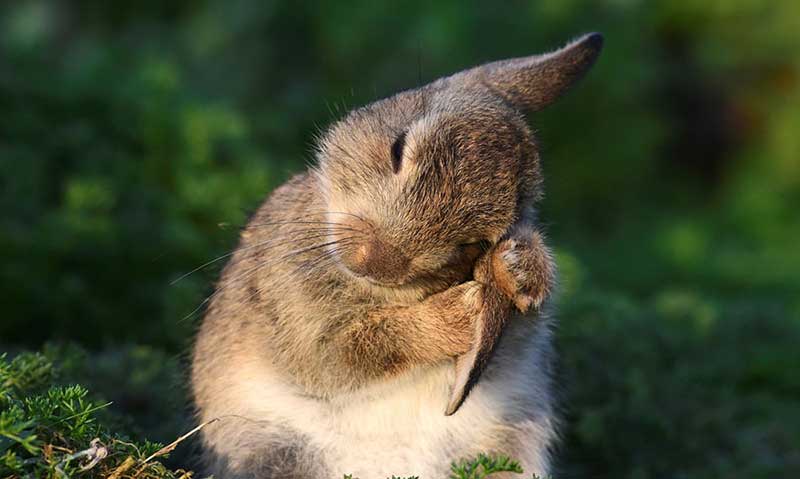 دیدنیهای امروز دوشنبه ۲۸ خردادماه