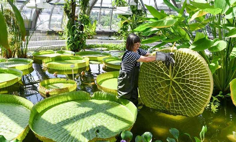 دیدنیهای امروز یکشنبه ۲۷ خردادماه