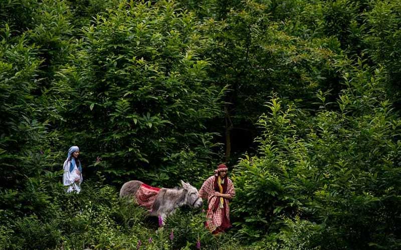 دیدنیهای امروز پنجشنبه ۳۱ خردادماه