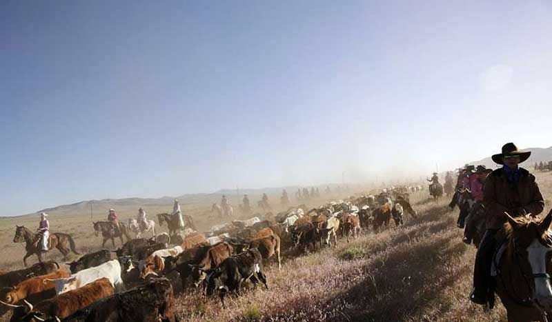 دیدنیهای امروز دوشنبه ۲۸ خردادماه