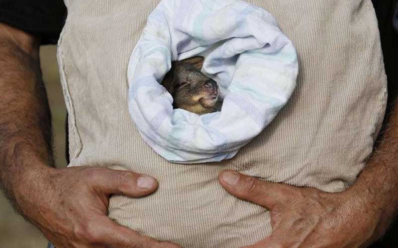 دیدنیهای امروز پنجشنبه ۳۱ خردادماه