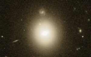 41