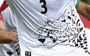 42