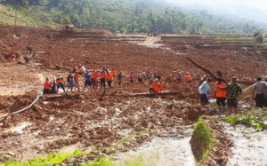 47