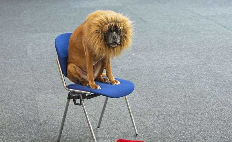 دیدنیهای امروز دوشنبه ۲۸ خردادماه