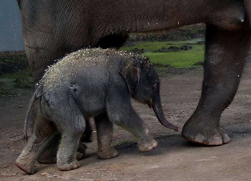 دیدنیهای امروز سه شنبه ۲۹ خردادماه