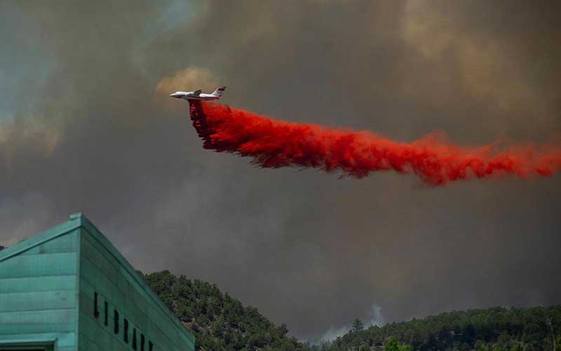 تصاویر : دیدنیهای امروز جمعه ۱۵ تیرماه