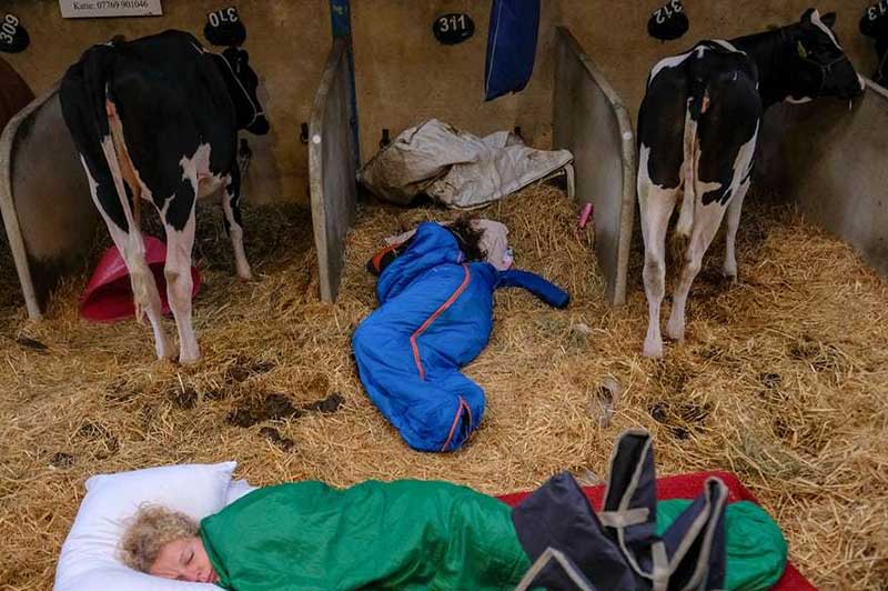 تصاویر : دیدنیهای امروز شنبه ۲۳ تیرماه