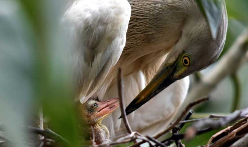 تصاویر : دیدنیهای امروز شنبه ۱۶ تیرماه