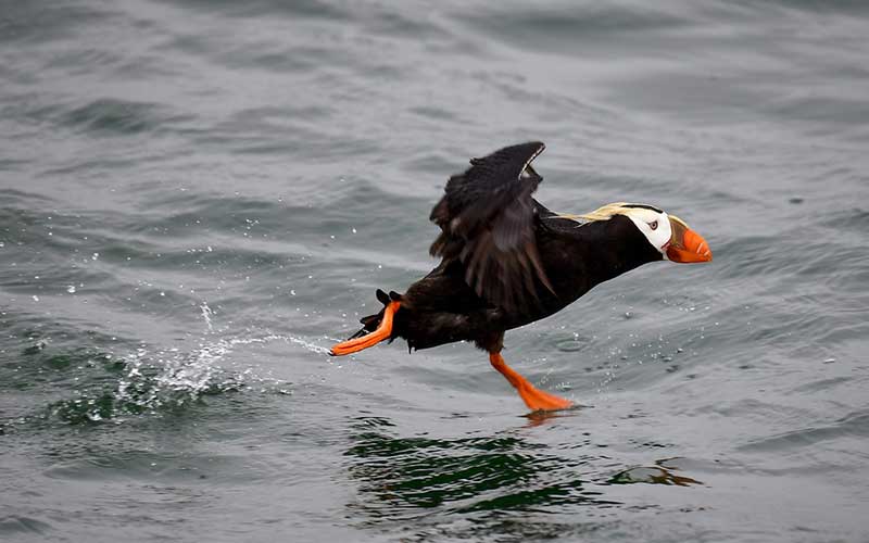 تصاویر : دیدنیهای امروز یکشنبه ۷ مردادماه