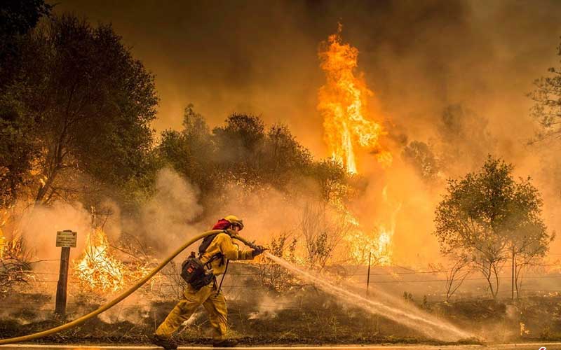 تصاویر : دیدنیهای امروز سه شنبه ۹ مردادماه