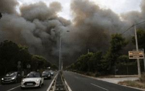 43