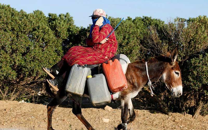 تصاویر : دیدنیهای امروز یکشنبه ۷ مردادماه