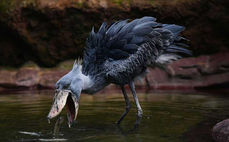 تصاویر : دیدنیهای امروز شنبه ۲۳ تیرماه