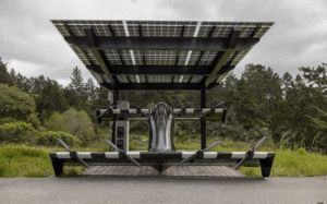 79