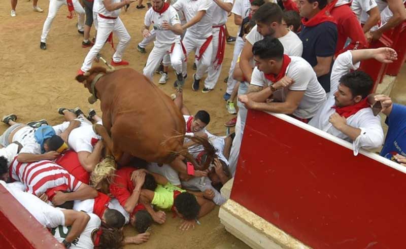 تصاویر : دیدنیهای امروز شنبه ۲۳ تیرماه