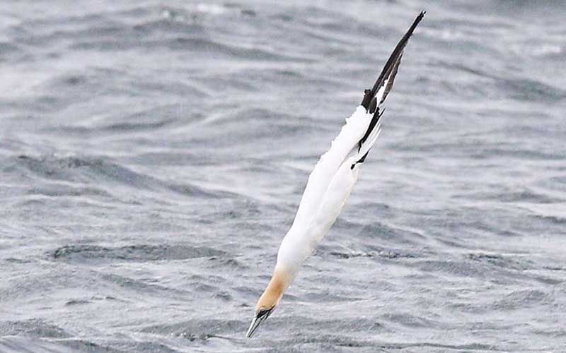 تصاویر : دیدنیهای امروز یکشنبه ۷ مردادماه