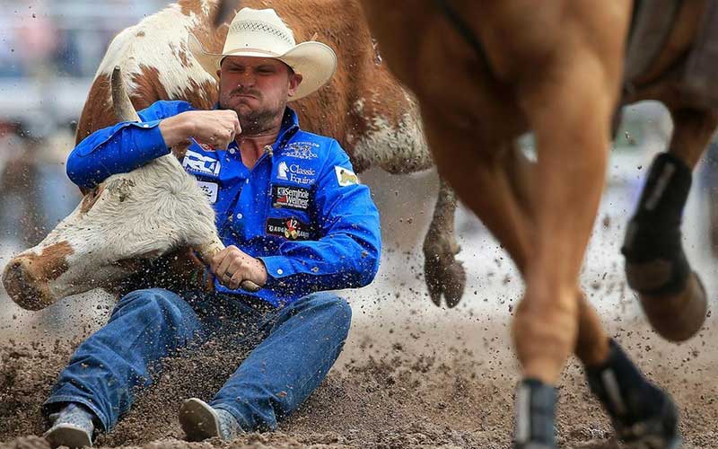 تصاویر : دیدنیهای امروز سه شنبه ۹ مردادماه