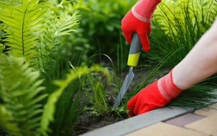 با این کارهای ساده، تابستان خود را دلچسب کنید