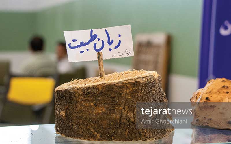 فعالین بومگردی در نمایشگاه ایران مال از کسبوکار خود میگویند