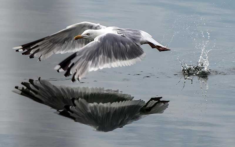 دیدنیهای امروز چهارشنبه ۱۰ مردادماه