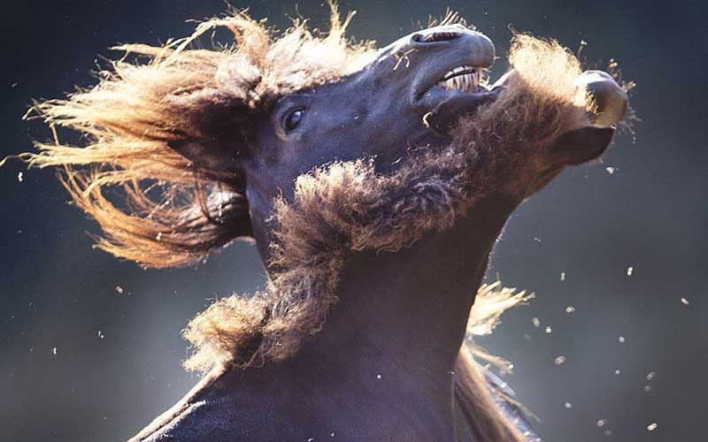 دیدنیهای امروز چهارشنبه ۱۰ مردادماه