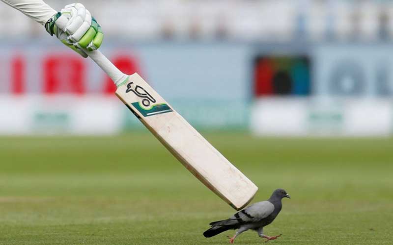 تصاویر : دیدنیهای امروز پنجشنبه ۱۱ مردادماه