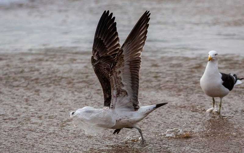 تصاویر : دیدنیهای امروز پنجشنبه ۱۱ مردادماه