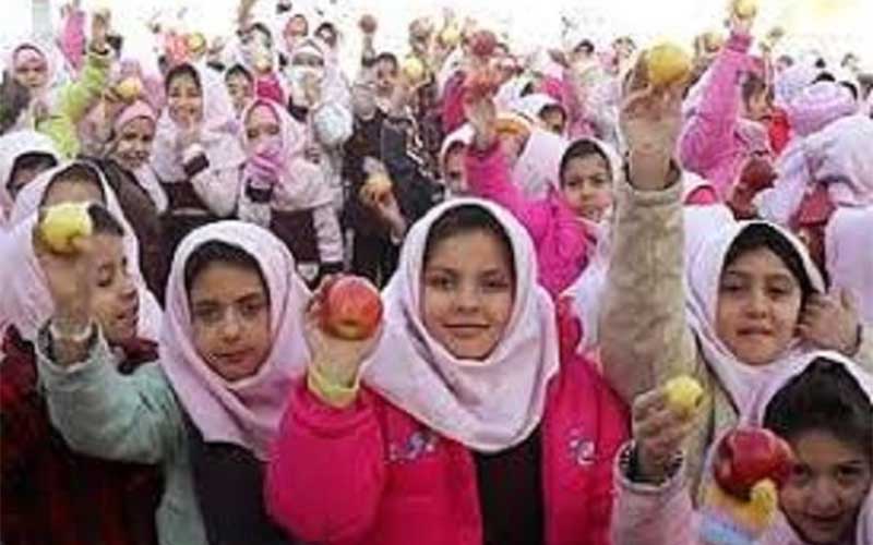 میوه و تنقلات خانگی بهترین میان وعده برای دانشآموزان