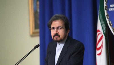رئیس مرکز دیپلماسی عمومی وزارت امور خارجه روز مولانارا تبریک گفت