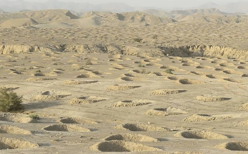 مزرعه های بادی و خورشیدی بیابان ها را حاصلخیز می کنند