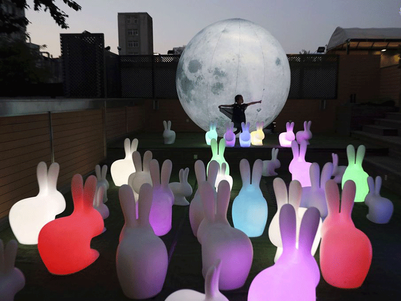 امروز به روایت تصویر