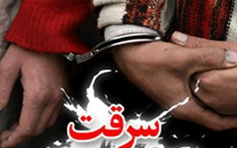 انهدام باند سرقتهای 7 ثانیهای