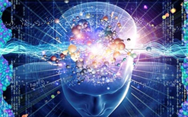 تیم های برتر دانش آموزی مسابقات علوم اعصاب معرفی شدند