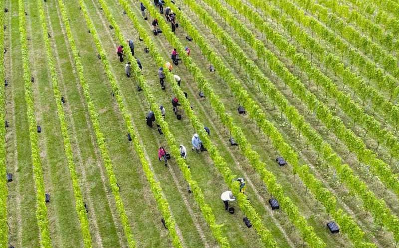 امروز به روایت تصویر