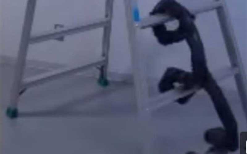 مار رباتیک برای عملیات های نجات ابداع شد