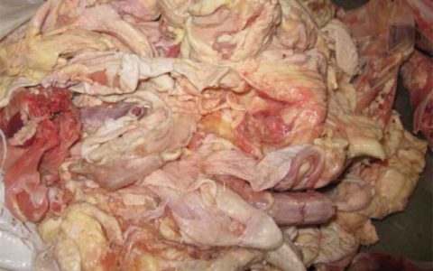 تبدیل پیه مرغ به گازوئیل توسط محققان کشور