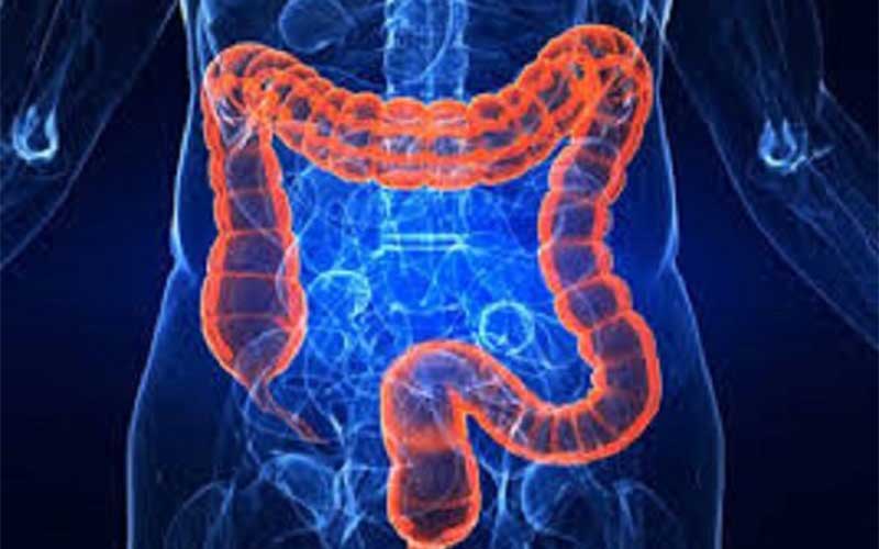 تاثیر واکسیناسیون در شیوع بیماری التهابی روده/ مهم ترین راه تشخیص