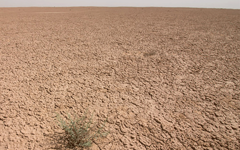 مرگ نزدیک آخرین بیابانهای به جا مانده در زمین