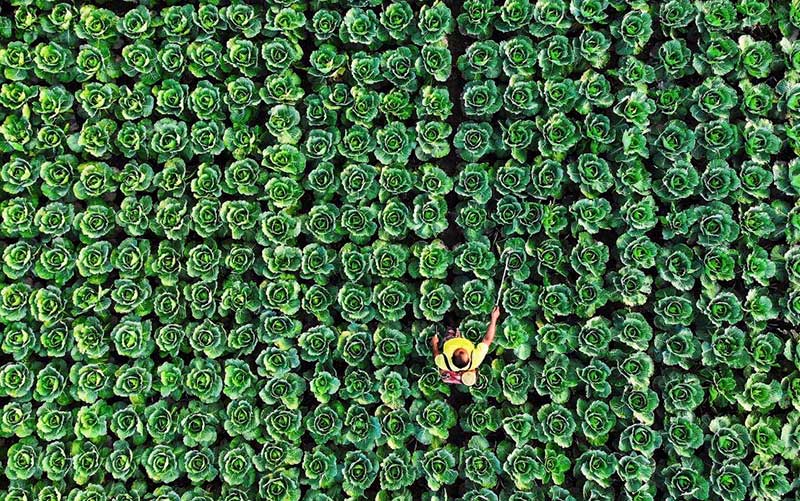 تصاویر : دیدنیهای امروز یکشنبه ۱۳ آبان ماه