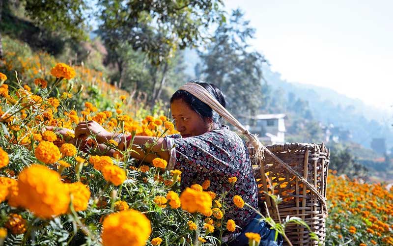 تصاویر : دیدنیهای امروز یکشنبه ۱۳ آبان ماه