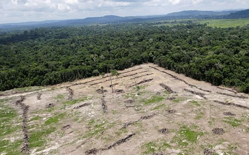 جنگلزدایی در آمازون به بالاترین حد در ۱۰ سال اخیر رسید