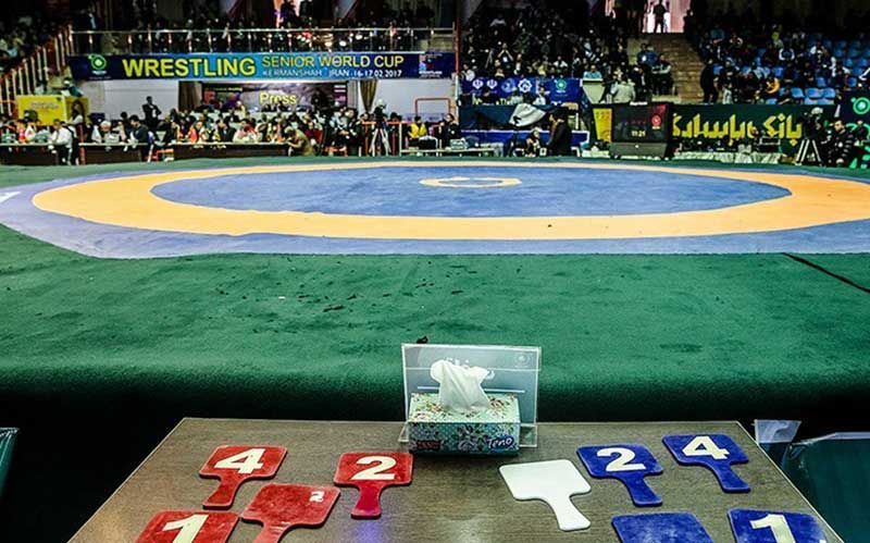 رضایی: استعفای مدیران فدراسیون کشتی برنامه امیدها را تغییر نمیدهد