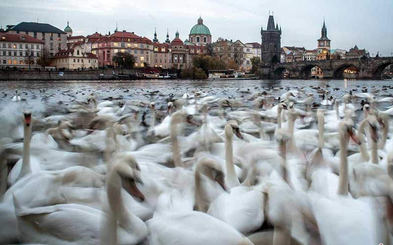 تصاویر : دیدنیهای امروز یکشنبه ۱۳ آبان ماه