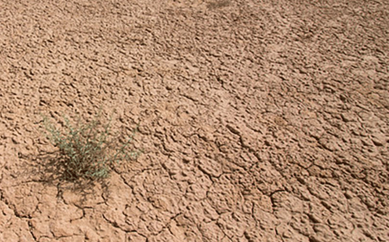 ۷ نکته درباره بیابانها