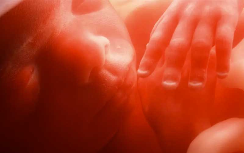 تولد نخستین انسانهای اصلاح ژنتیکی شده تا 4 ماه آینده